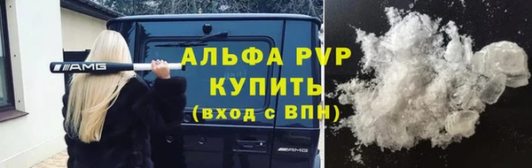 прущие грибы Лабытнанги