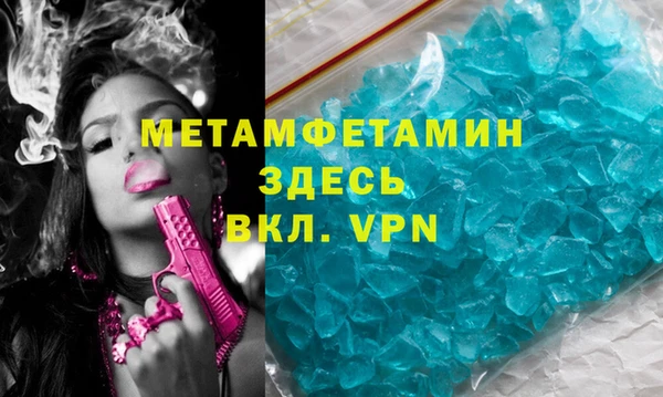 прущие грибы Лабытнанги