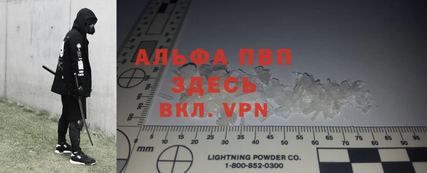 прущие грибы Лабытнанги