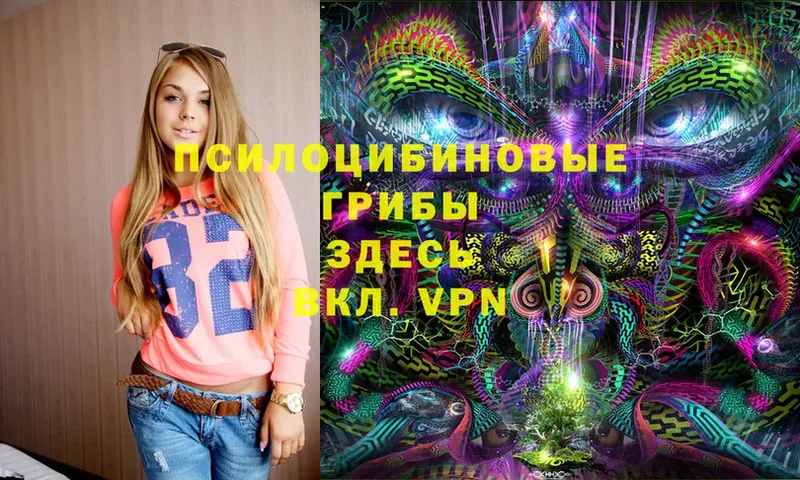 Галлюциногенные грибы Psilocybe  Оханск 